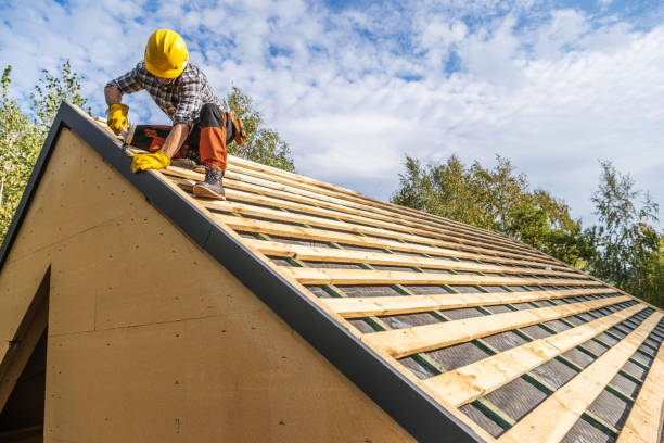 Best Roof Gutter Cleaning  in Wentworth, NC